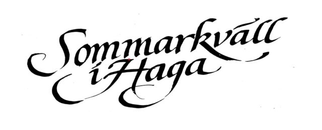 Sommarkväll i Haga